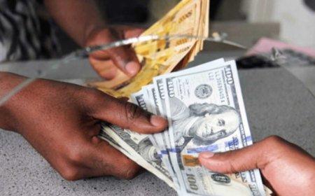 You can withdraw dollars over the counter – BoG clarifies