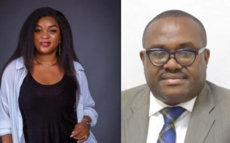 President Mahama Revokes Anne Sansa Daly's Appointment to NHIA Board; Prof. Ernest Yorke Appointed as Replacementv
