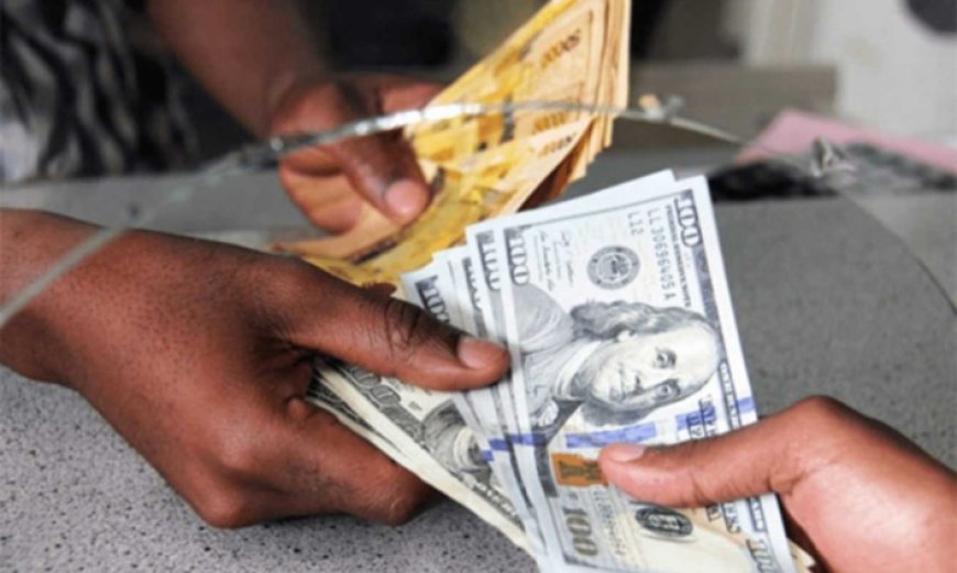 You can withdraw dollars over the counter – BoG clarifies