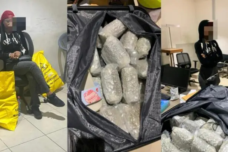 Drug bust: Another British passenger arrested at KIA with 17.72kg of Cannabis