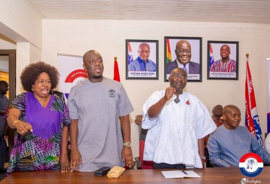 NPP Council in Breach: The Constitution They Vowed to Uphold, Now Undermined