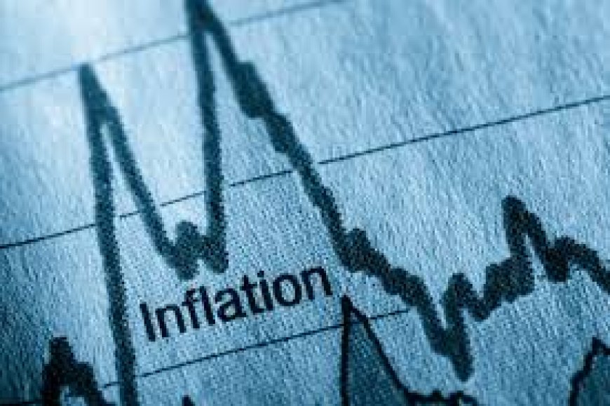 Inflation to end 2025 at 11.3%, July inflation to fall to 12.7% – Report